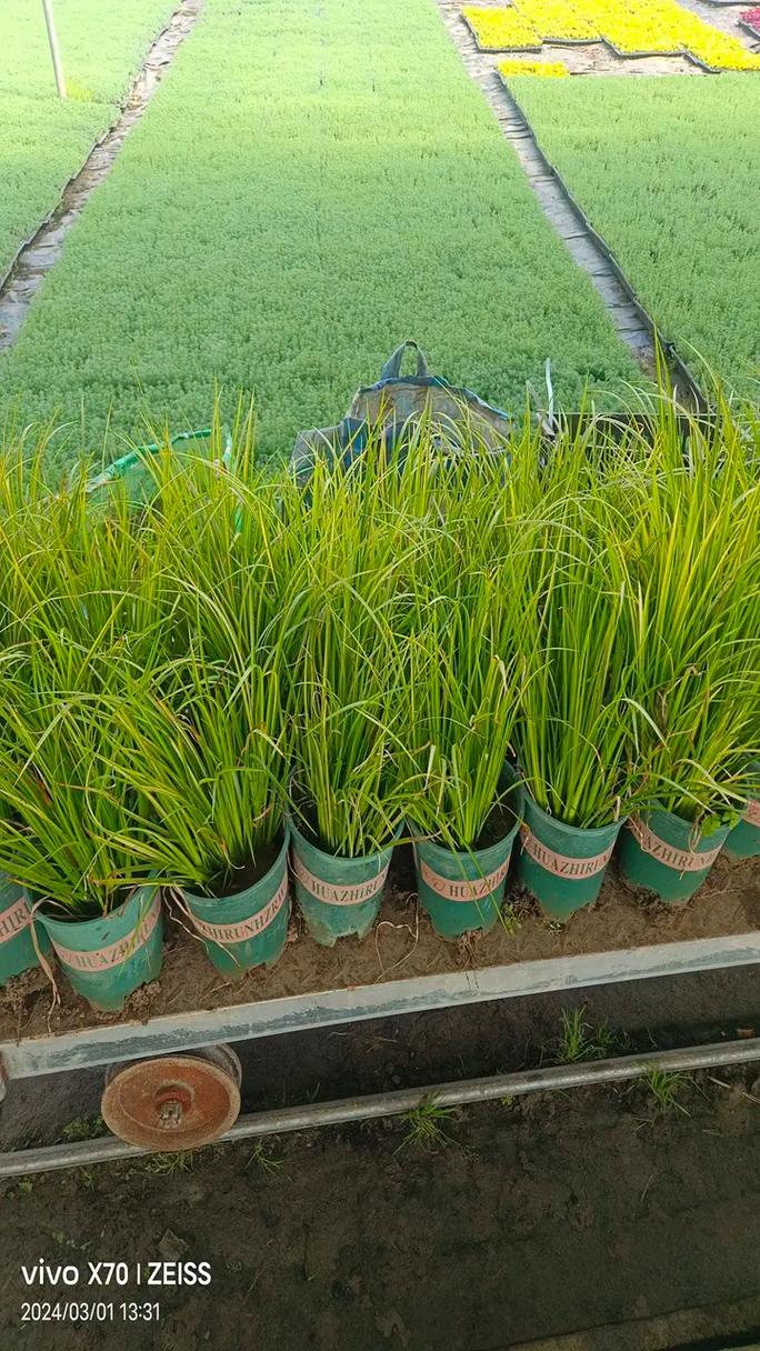 虛擬現(xiàn)實(shí)