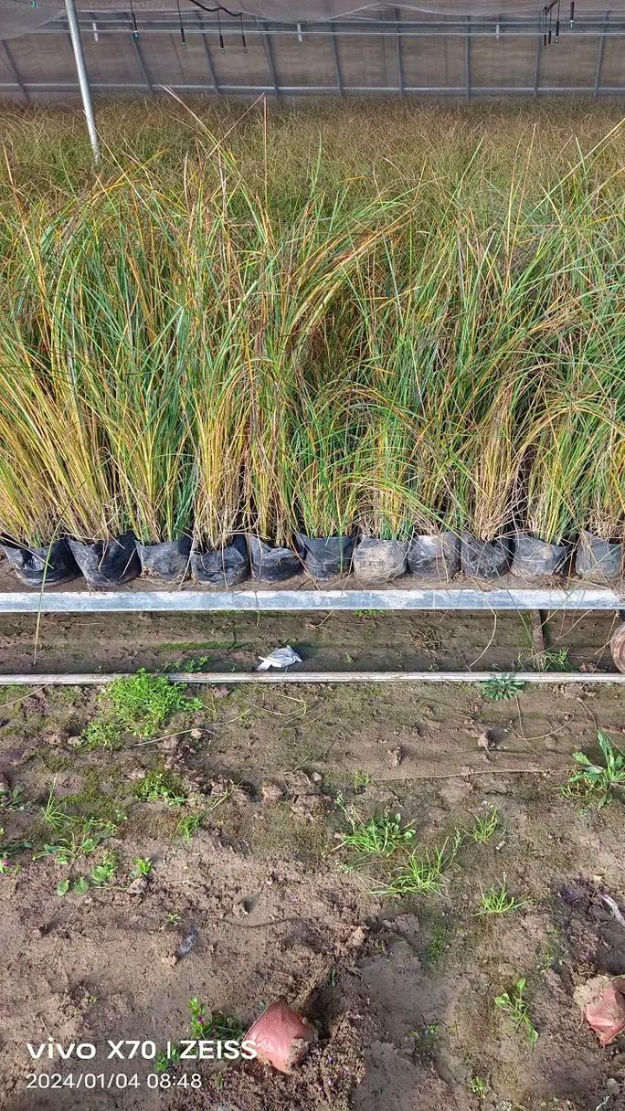 波紋管采購流程詳解與關鍵注意事項