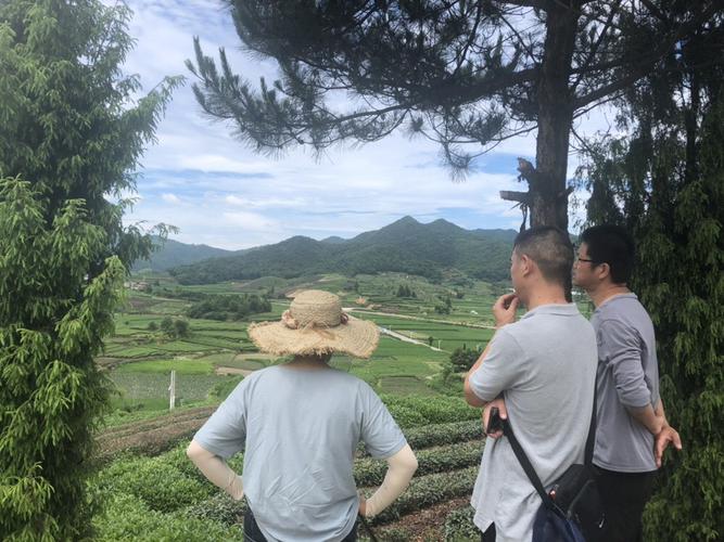 波紋管材質對比助力選購不踩坑