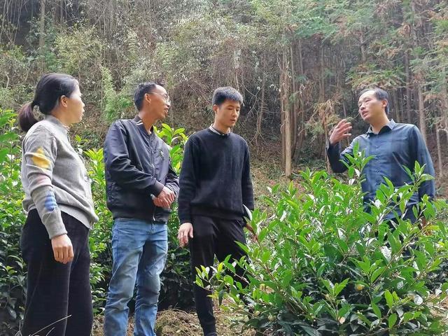 金屬膨脹節(jié)性能參數(shù)深度解析