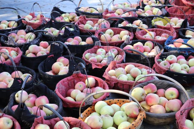 UUX設(shè)計(jì)