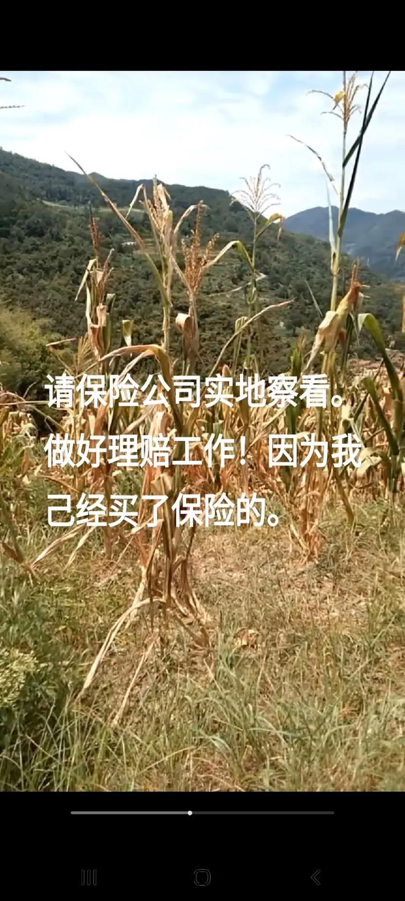 創(chuàng)業(yè)融資