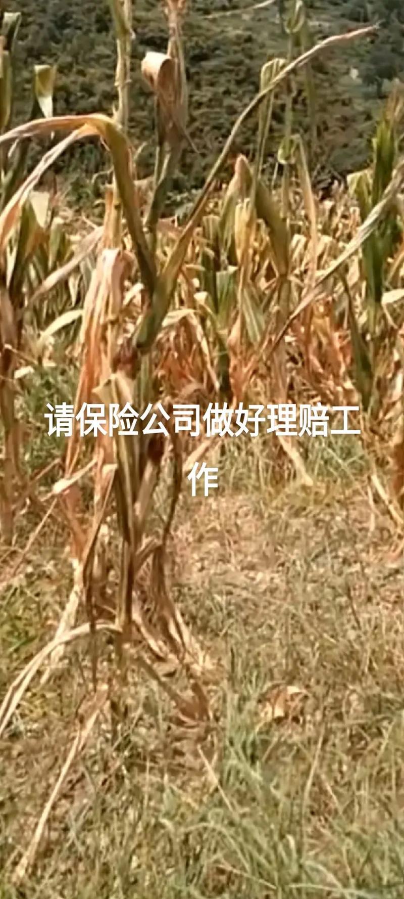 數(shù)碼產(chǎn)品