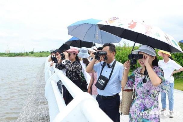 創(chuàng)意開拓