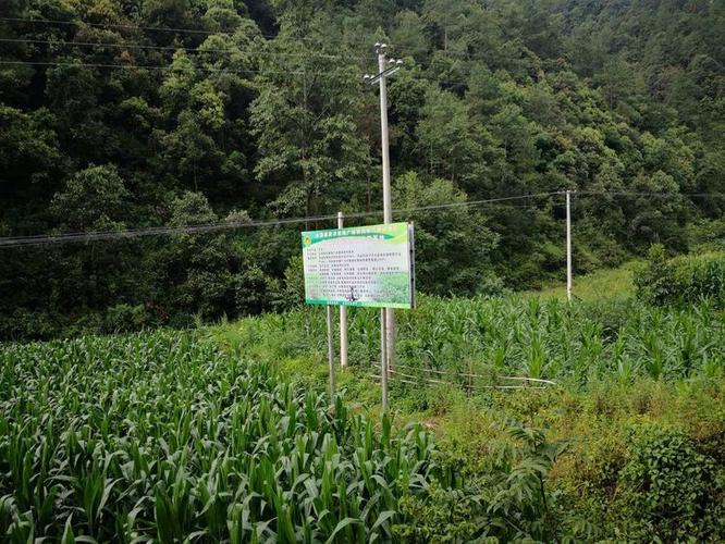 波紋管節能效果實測全方位解析