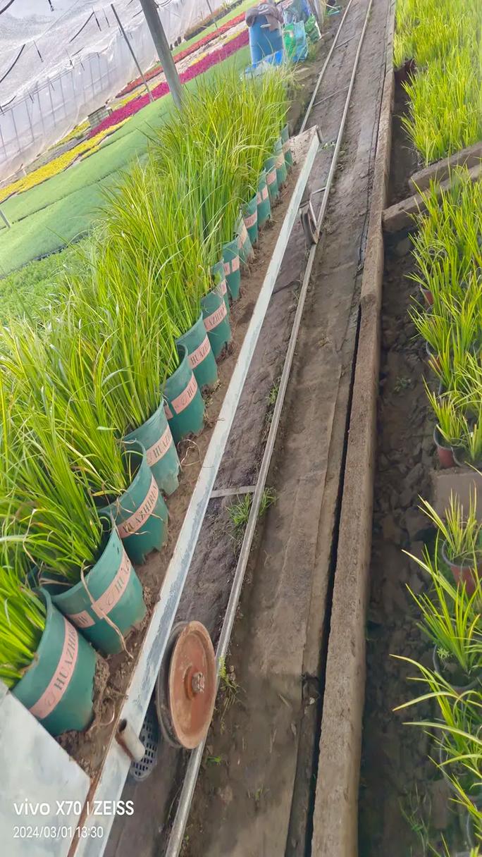 最新波紋管市場競爭格局解析