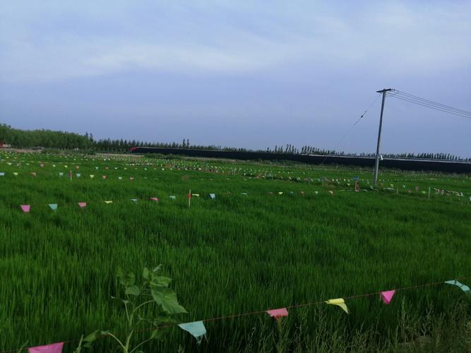 品質(zhì)標(biāo)桿